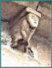 anglard03.jpg (21082 octets)