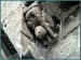mauria13.jpg (37514 octets)