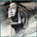 mauria_11.jpg (24313 octets)