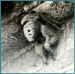 mauria_7.jpg (24666 octets)