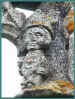 sauva_110.jpg (21484 octets)