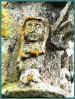sauva_111.jpg (23842 octets)