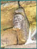 vignonnet_12.jpg (21138 octets)