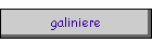 galiniere