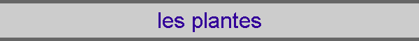 les plantes