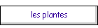 les plantes