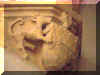 chien100.JPG (13556 octets)