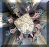 polychrom2110.JPG (42166 octets)